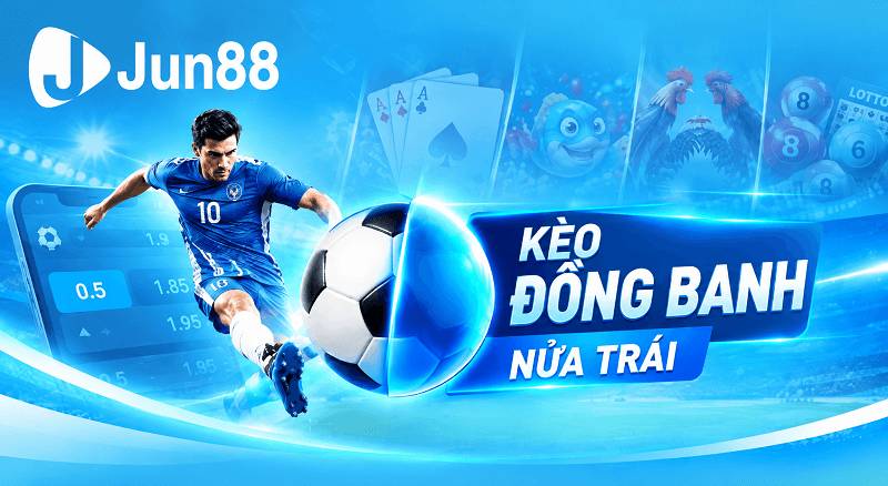 keo dong banh nua trai 1